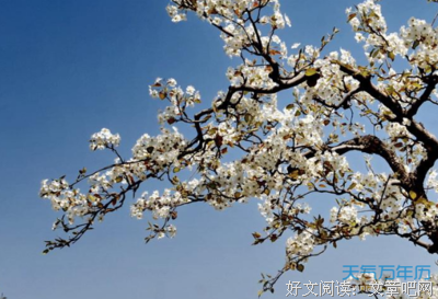 关于唯·美的优美句子