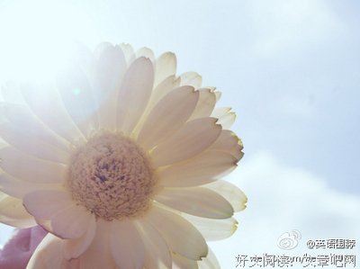 2018伊能静名言名句