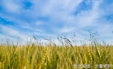 有关塞林格名人名言