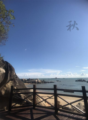 最经典的《独家挚爱》小说句子