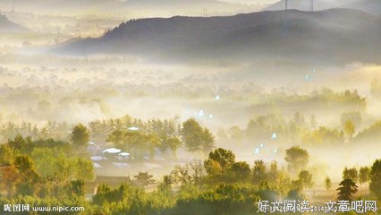 最全的《空山鸟语》经典语录大全