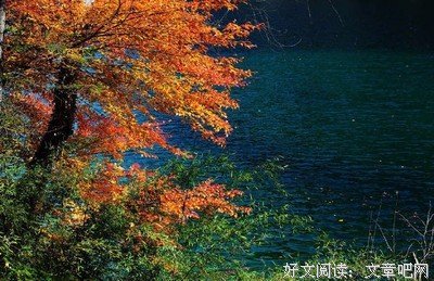 《芳草无情》佳句摘抄