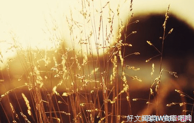 最经典的《过得刚好》佳句摘抄