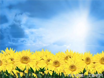 最新的《青铜葵花》经典语句大全