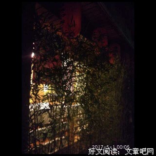《风沙星辰》小说书摘大全