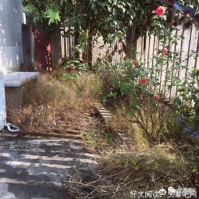描写孤单的语句摘抄
