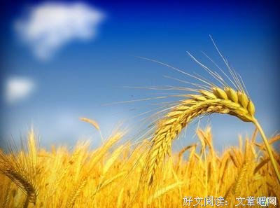 关于谦逊的格言