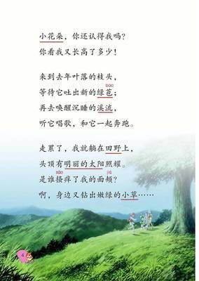 关于随想这的优美句子