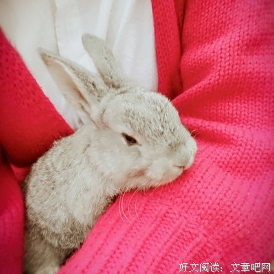 左耳倾听的优美句子