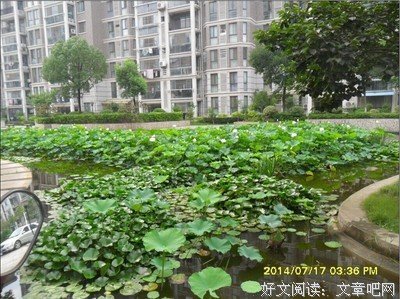 情感经典名句