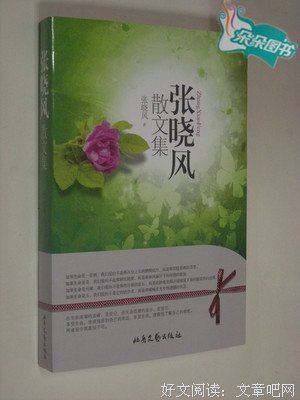 张晓风经典句子