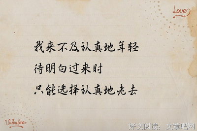 《亲爱的三毛》经典名句