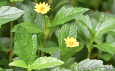 女人是苦命还是好命，看这4个细节！