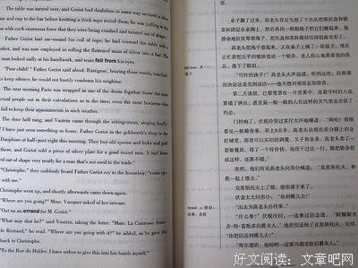 最全的《包法利夫人》小说书摘大全