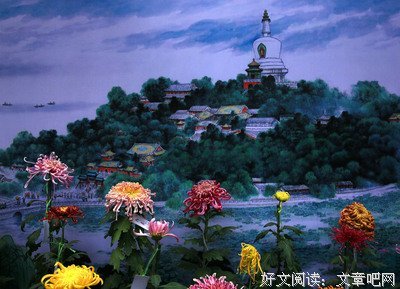 最经典的《孤芳不自赏》经典名句