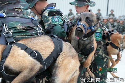 最经典的《我是特种兵》电视剧经典台词