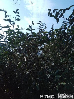最新的《时间的朋友》好段摘抄