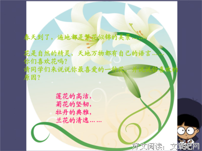 最新的《最后开的花》经典句子