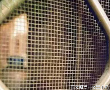 同事手机惊现老婆奔放视频，他抓狂了