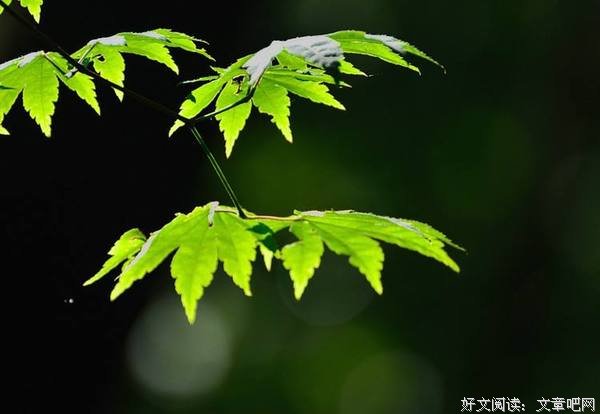 人生，是一种痛并快乐着的过程