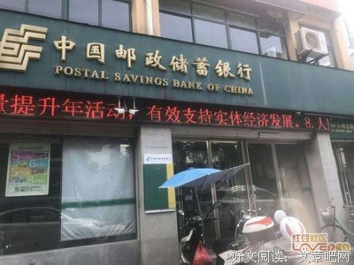关于骆闻的语句