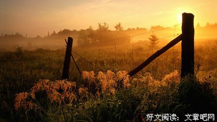 关于可圈可点的唯美语录