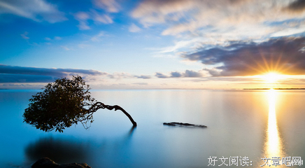 关于至理名言的名言
