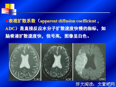 关于中枢神经的唯美语录