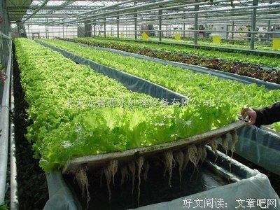 坐标银川，冻死我了！
