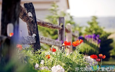 翼·年代声发才句子大全