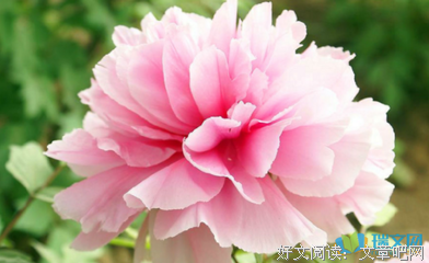 孤上独的优美句子