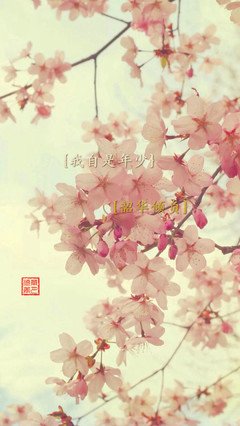 关于年少之会狂的句子