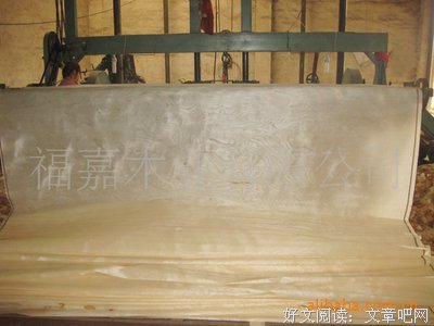 枫桦樰枂句子大全