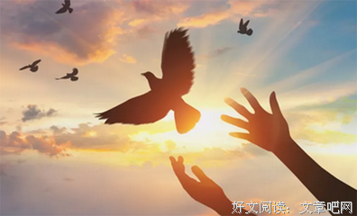 连城雪名人名言