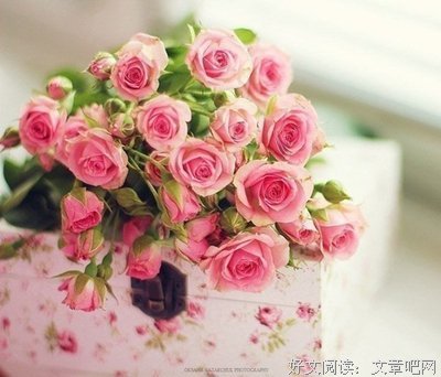 最新的《恰似寒光遇骄阳》经典语录大全