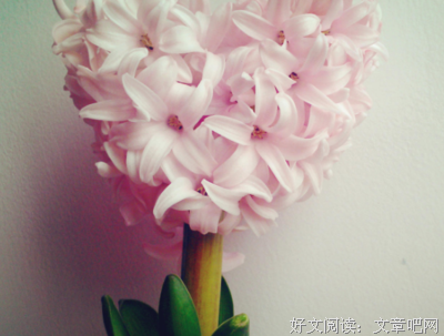 最全的《爱你时有风》经典的句子