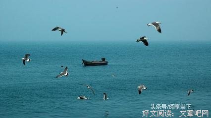 最新的《系我一生心》经典语录