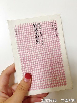 《野猪大改造》小说书摘