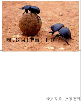 《风中的纸屑》经典名句