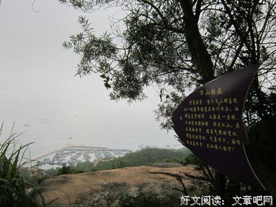 最新的《孤独是一座岛》经典语录大全