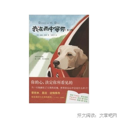 最新的《我在雨中等你》小说书摘