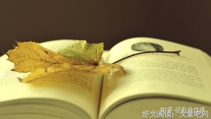 最新的《海边的卡夫卡》小说摘抄