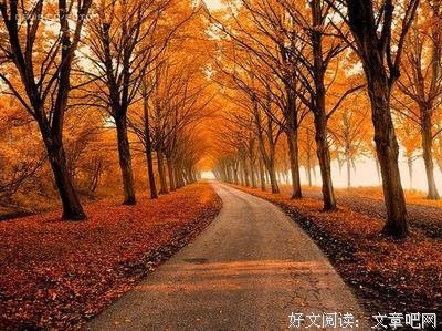《谢谢你离开我》经典句子