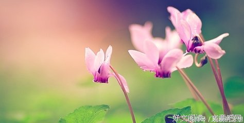 道着出然多多 烦恼多多的优美句子
