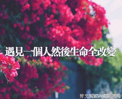 关于你的未来和过去的优美句子