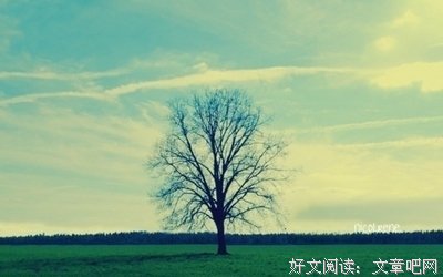 《三毛》的句子