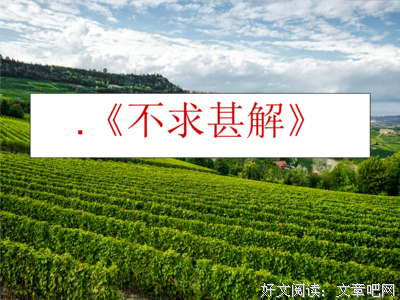 有关甚解 的句子