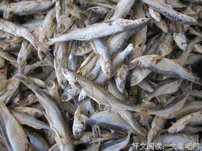 有关鱼小溪座右铭