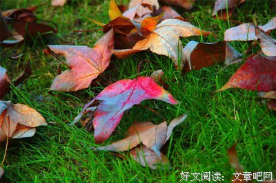 最经典的叶落无心名言