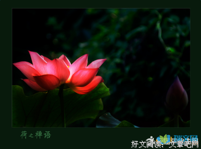 最全的《与大神JQ的日子》经典名句大全
